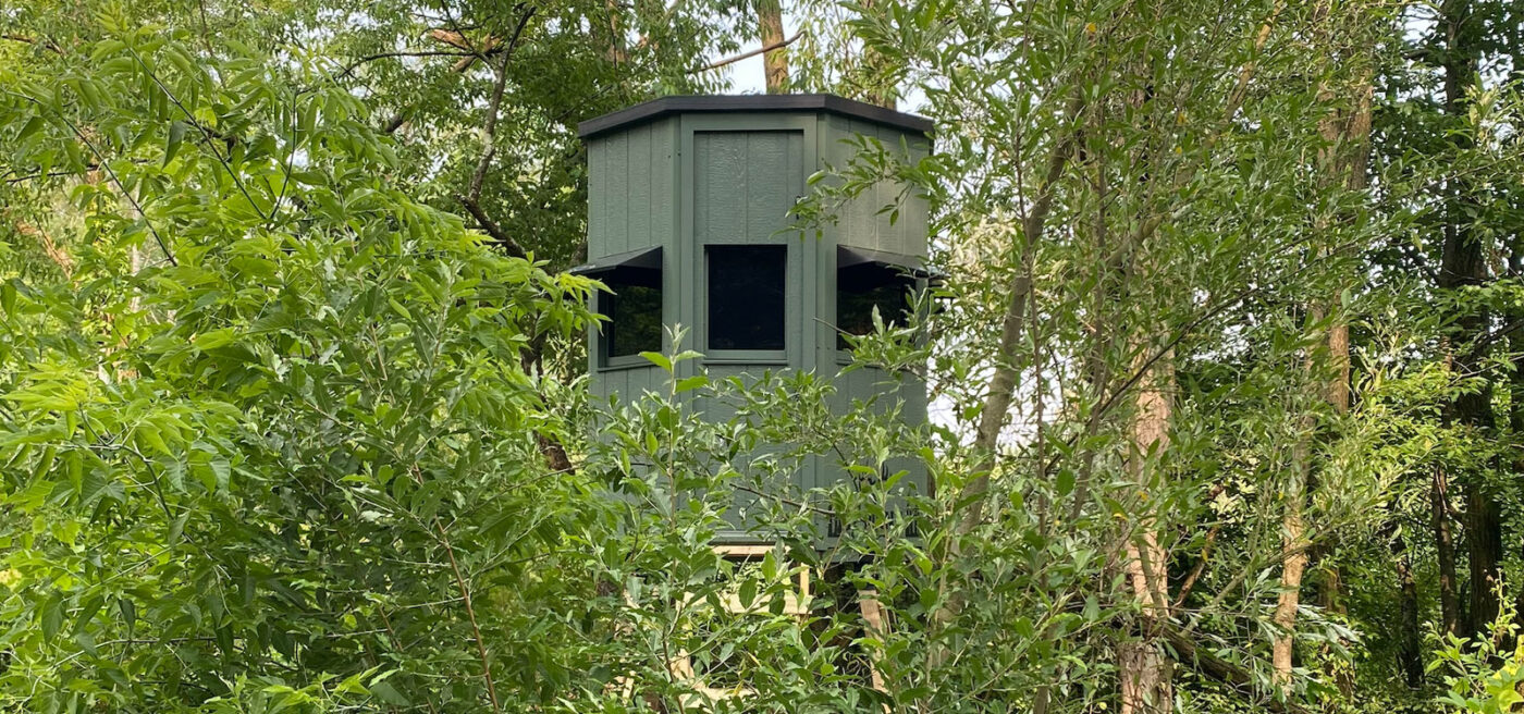 Green treehouse with dark-framed windows partially obscured by dense foliage in a wooded area.