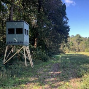 Elevated hunting blind on wooden stilts beside a dirt path in a forest clearing.