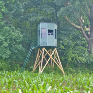 Elevated green hunting stand on wooden stilts overlooking a cornfield, with a ladder leaning to the cabin among trees.