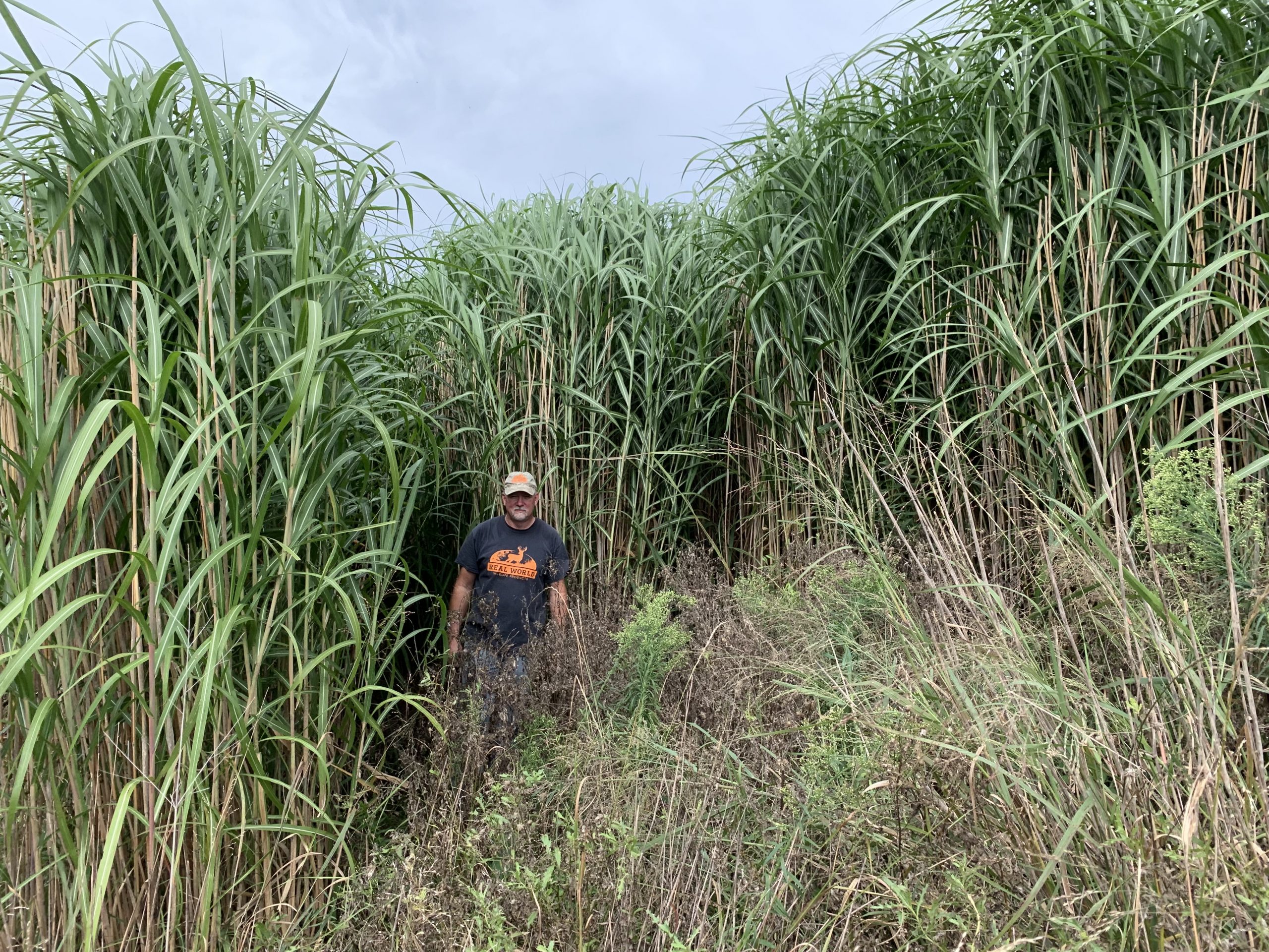 IMG_2238-scaled - Ideal Land Management | Forestry mowing & mulching, food plots, hunting blinds
