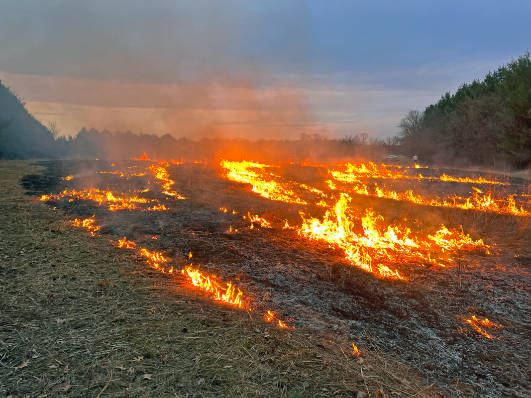 A grass field on fire with bright orange flames spreading across dry vegetation and trees in the background, with a person near the right edge.