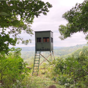 Elevated hunting stand on stilts with a ladder in a dense forest, overlooking rolling hills.