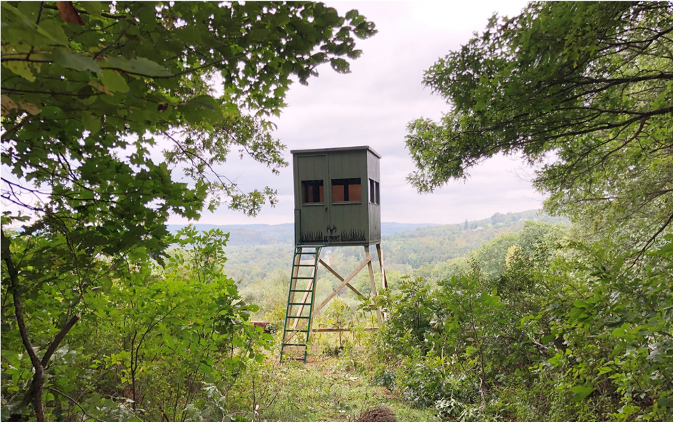 Picture1 - Ideal Land Management | Forestry mowing & mulching, food plots, hunting blinds Elevated hunting stand on stilts with a ladder in a dense forest, overlooking rolling hills.