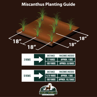 Website_MiscanthusPlantingGraphicREV3 - Ideal Land Management | Forestry mowing & mulching, food plots, hunting blinds Infographic showing Miscanthus planting guide with 18-inch spacing, and 3-row or 5-row layouts with distance tables for rhizomes needed and bags needed.