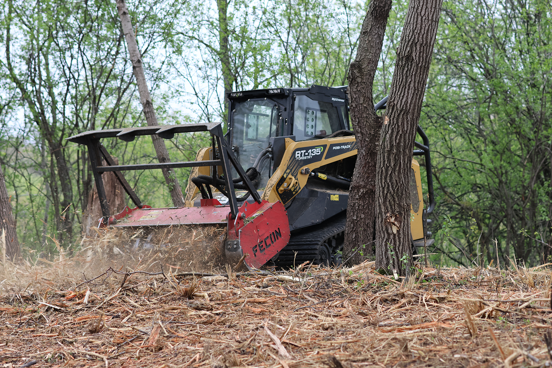 Tracked forestry machine with a red cutting head operating among trees, cutting and clearing branches in a woodland area.