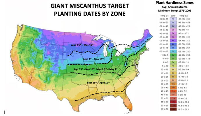 map - Ideal Land Management | Forestry mowing & mulching, food plots, hunting blinds Map of the United States showing color-coded planting zones for giant miscanthus with four dashed lines indicating target planting windows by zone (e.g., spring and fall dates).