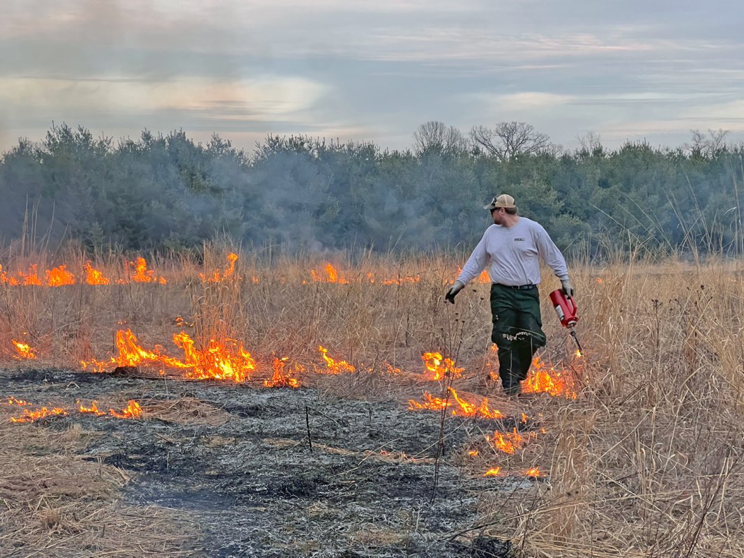 Man in a light long-sleeve shirt and cap walks through a dry grassy field, carrying a red fire extinguisher as brush fire burns nearby.