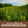 Field of tall sorghum plants with a brown banner reading Wildlife Grain Sorghum Blend at the bottom.